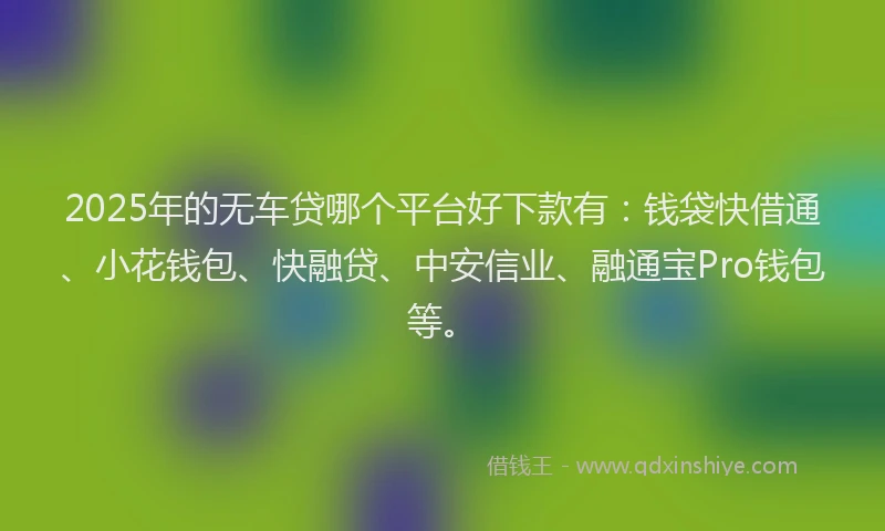 2025年的无车贷哪个平台好下款有：钱袋快借通、小花钱包、快融贷、中安信业、融通宝Pro钱包等。
