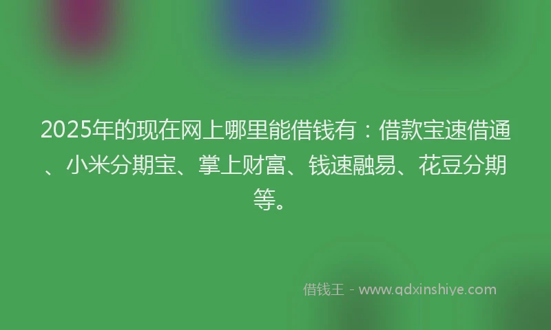 2025年的现在网上哪里能借钱有：借款宝速借通、小米分期宝、掌上财富、钱速融易、花豆分期等。