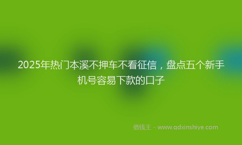 2025年热门本溪不押车不看征信，盘点五个新手机号容易下款的口子