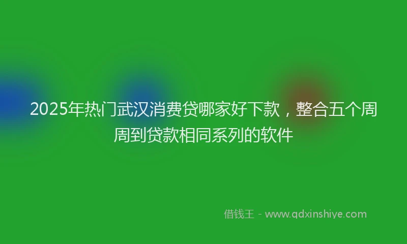 2025年热门武汉消费贷哪家好下款，整合五个周周到贷款相同系列的软件