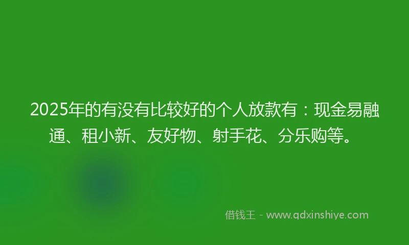 2025年的有没有比较好的个人放款有：现金易融通、租小新、友好物、射手花、分乐购等。