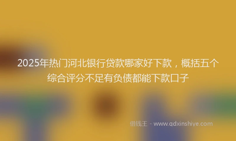 2025年热门河北银行贷款哪家好下款，概括五个综合评分不足有负债都能下款口子