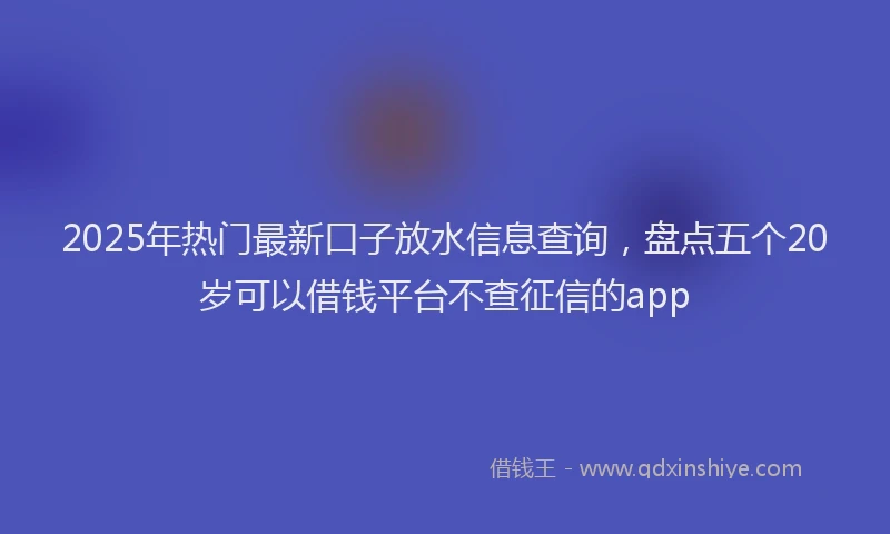 2025年热门最新口子放水信息查询，盘点五个20岁可以借钱平台不查征信的app