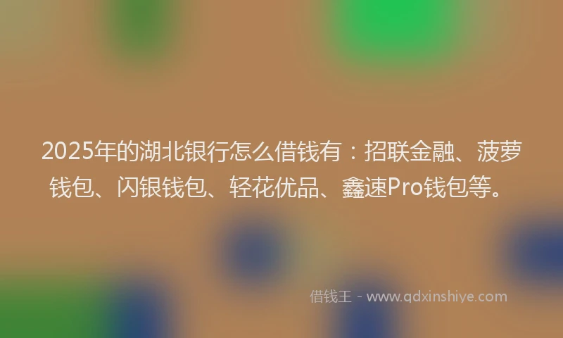 2025年的湖北银行怎么借钱有：招联金融、菠萝钱包、闪银钱包、轻花优品、鑫速Pro钱包等。
