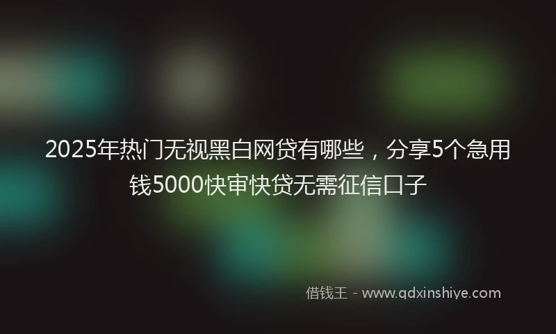 2025年热门无视黑白网贷有哪些，分享5个急用钱5000快审快贷无需征信口子