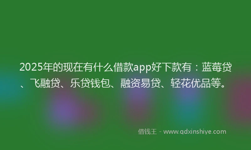 2025年的现在有什么借款app好下款有：蓝莓贷、飞融贷、乐贷钱包、融资易贷、轻花优品等。