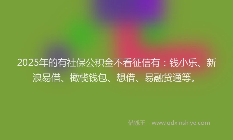 2025年的有社保公积金不看征信有：钱小乐、新浪易借、橄榄钱包、想借、易融贷通等。