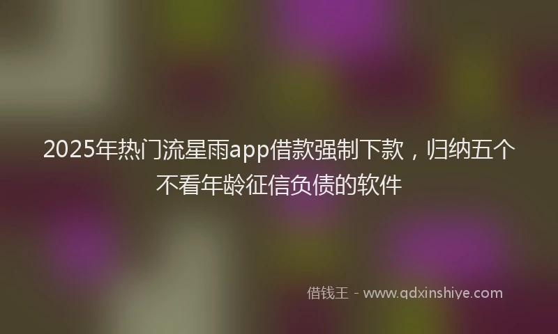 2025年热门流星雨app借款强制下款，归纳五个不看年龄征信负债的软件