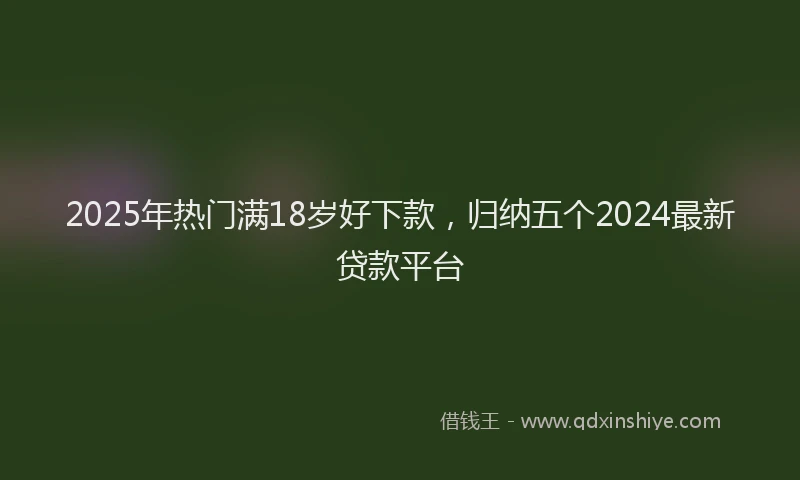 2025年热门满18岁好下款，归纳五个2024最新贷款平台