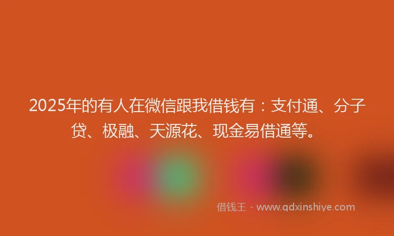 2025年的有人在微信跟我借钱有：支付通、分子贷、极融、天源花、现金易借通等。