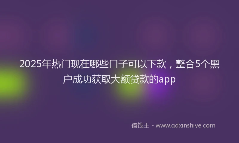 2025年热门现在哪些口子可以下款，整合5个黑户成功获取大额贷款的app
