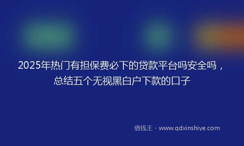 2025年热门有担保费必下的贷款平台吗安全吗，总结五个无视黑白户下款的口子