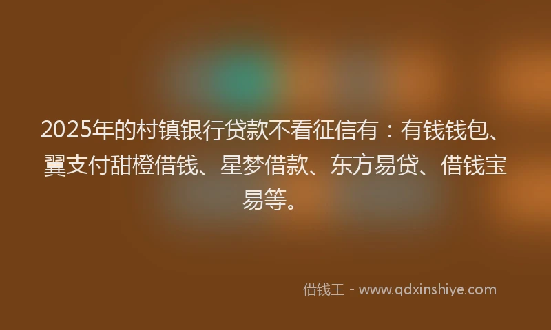 2025年的村镇银行贷款不看征信有：有钱钱包、翼支付甜橙借钱、星梦借款、东方易贷、借钱宝易等。