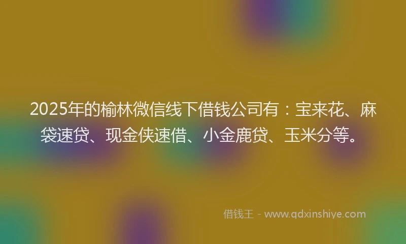 2025年的榆林微信线下借钱公司有：宝来花、麻袋速贷、现金侠速借、小金鹿贷、玉米分等。
