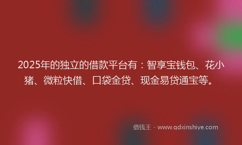 2025年的独立的借款平台有：智享宝钱包、花小猪、微粒快借、口袋金贷、现金易贷通宝等。