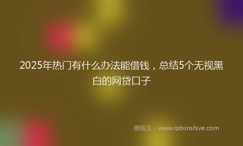 2025年热门有什么办法能借钱，总结5个无视黑白的网贷口子