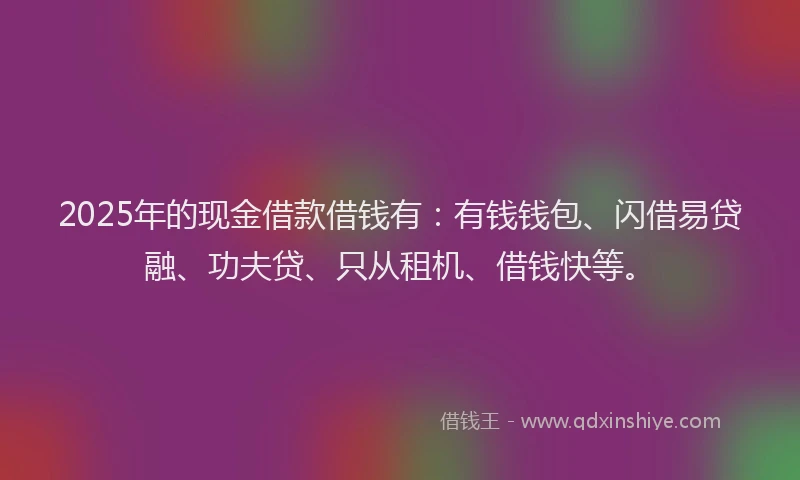 2025年的现金借款借钱有：有钱钱包、闪借易贷融、功夫贷、只从租机、借钱快等。
