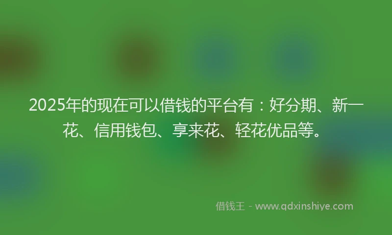 2025年的现在可以借钱的平台有：好分期、新一花、信用钱包、享来花、轻花优品等。