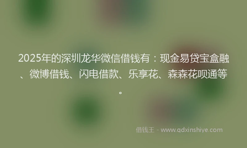 2025年的深圳龙华微信借钱有：现金易贷宝盒融、微博借钱、闪电借款、乐享花、森森花呗通等。