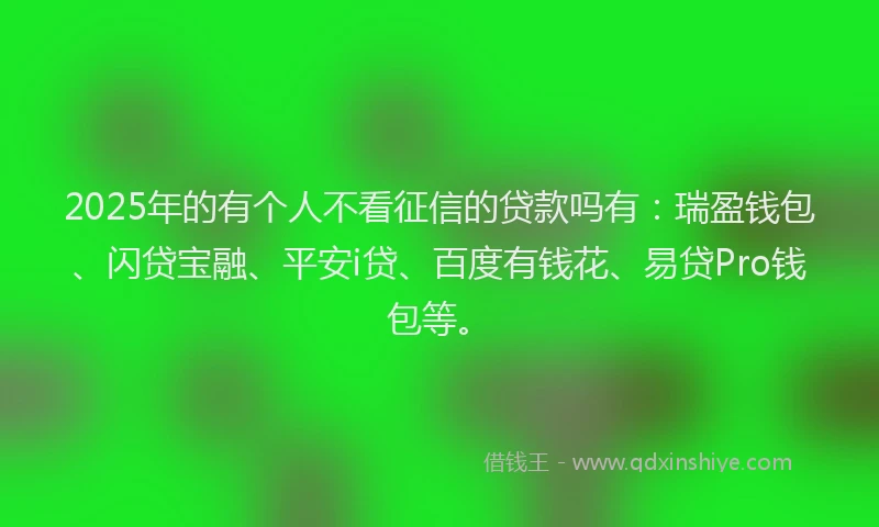 2025年的有个人不看征信的贷款吗有：瑞盈钱包、闪贷宝融、平安i贷、百度有钱花、易贷Pro钱包等。
