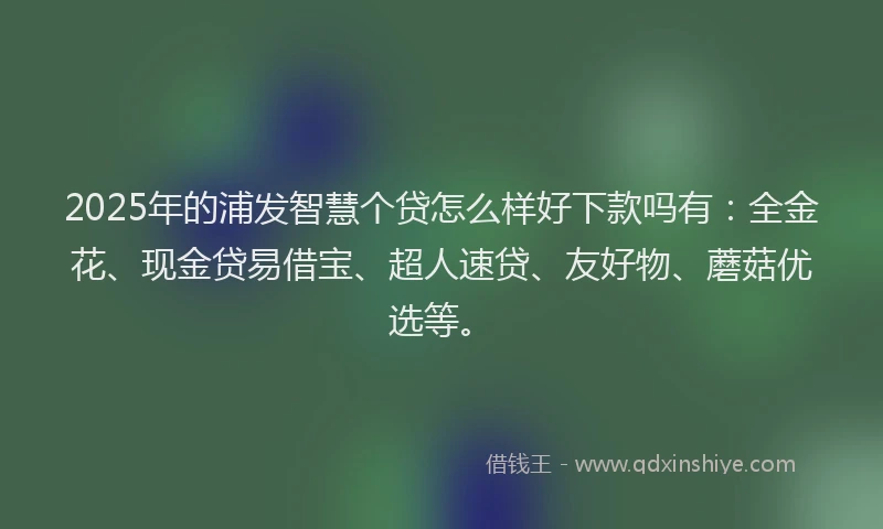 2025年的浦发智慧个贷怎么样好下款吗有：全金花、现金贷易借宝、超人速贷、友好物、蘑菇优选等。