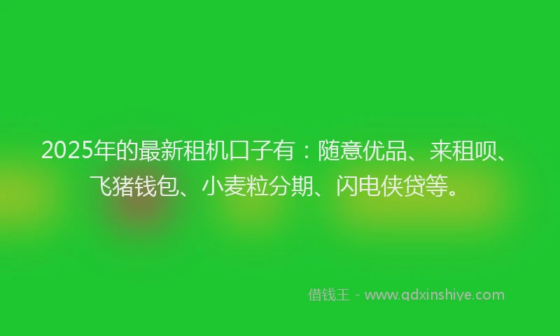 2025年的最新租机口子有：随意优品、来租呗、飞猪钱包、小麦粒分期、闪电侠贷等。