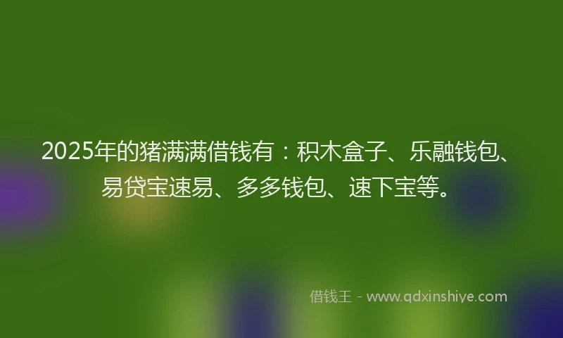 2025年的猪满满借钱有：积木盒子、乐融钱包、易贷宝速易、多多钱包、速下宝等。