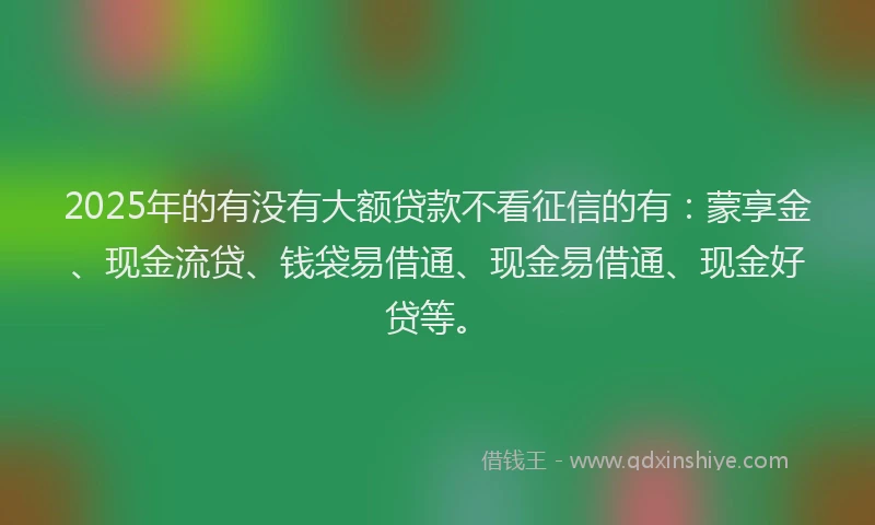 2025年的有没有大额贷款不看征信的有：蒙享金、现金流贷、钱袋易借通、现金易借通、现金好贷等。