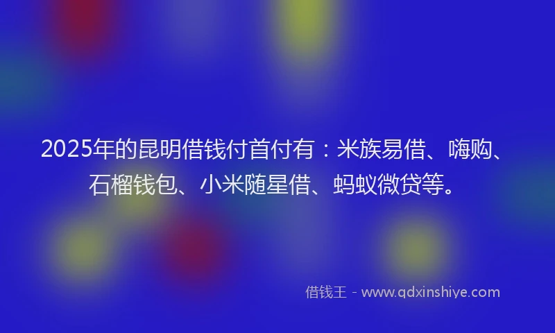 2025年的昆明借钱付首付有：米族易借、嗨购、石榴钱包、小米随星借、蚂蚁微贷等。