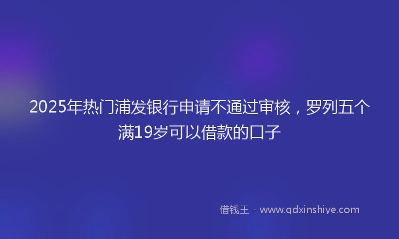 2025年热门浦发银行申请不通过审核，罗列五个满19岁可以借款的口子