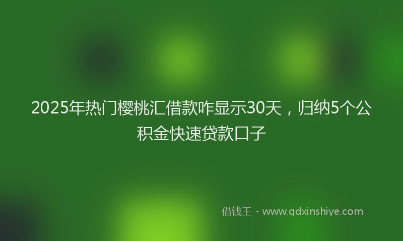 2025年热门樱桃汇借款咋显示30天，归纳5个公积金快速贷款口子