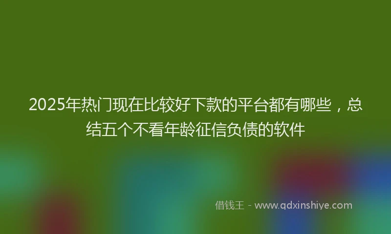 2025年热门现在比较好下款的平台都有哪些，总结五个不看年龄征信负债的软件