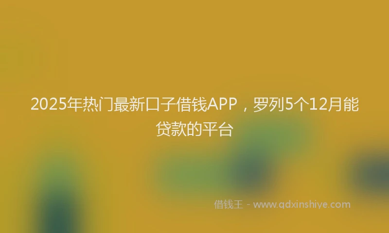 2025年热门最新口子借钱APP，罗列5个12月能贷款的平台