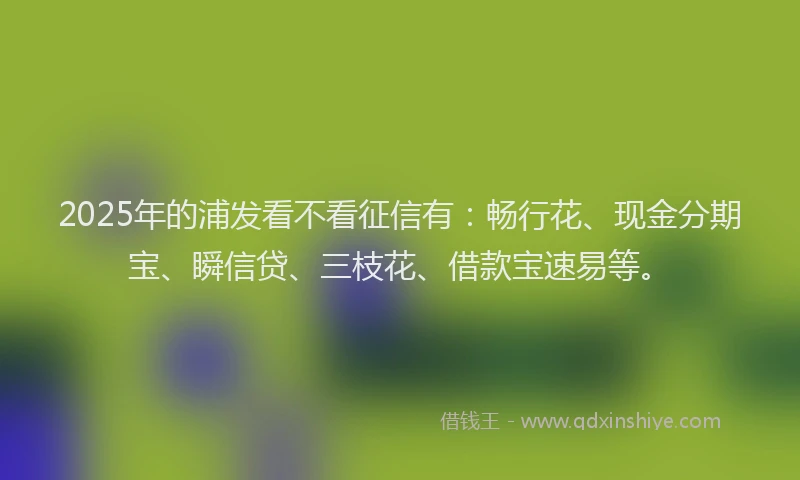 2025年的浦发看不看征信有：畅行花、现金分期宝、瞬信贷、三枝花、借款宝速易等。