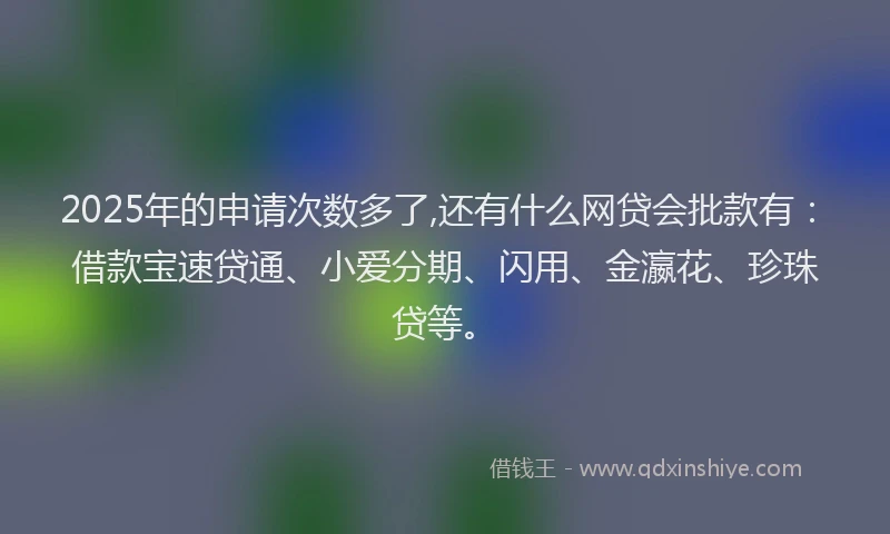 2025年的申请次数多了,还有什么网贷会批款有：借款宝速贷通、小爱分期、闪用、金瀛花、珍珠贷等。
