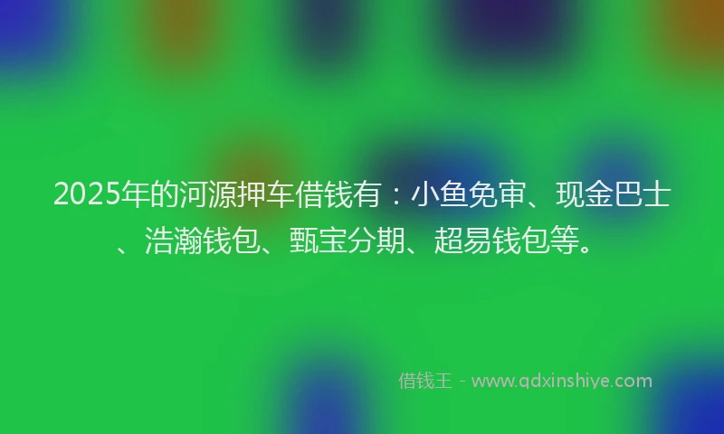 2025年的河源押车借钱有：小鱼免审、现金巴士、浩瀚钱包、甄宝分期、超易钱包等。