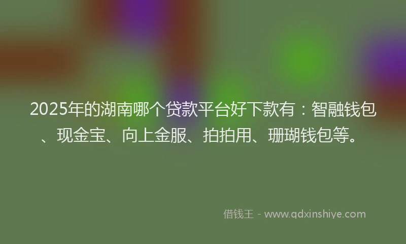 2025年的湖南哪个贷款平台好下款有：智融钱包、现金宝、向上金服、拍拍用、珊瑚钱包等。