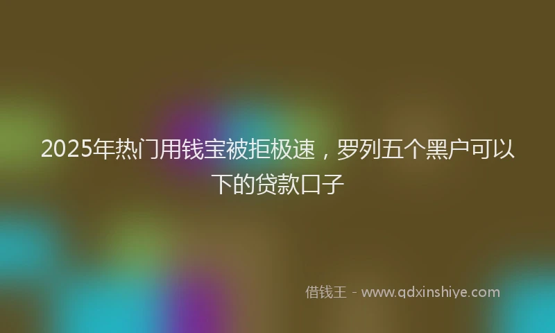 2025年热门用钱宝被拒极速，罗列五个黑户可以下的贷款口子