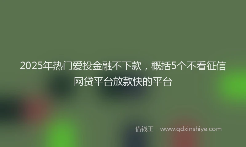 2025年热门爱投金融不下款，概括5个不看征信网贷平台放款快的平台