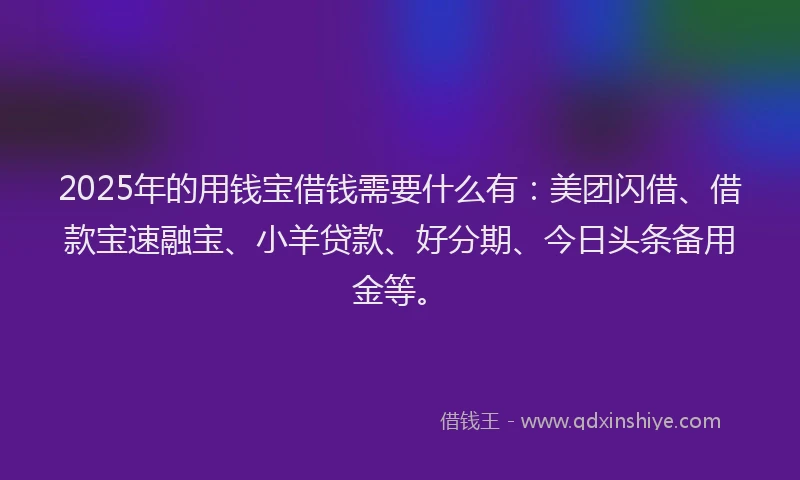 2025年的用钱宝借钱需要什么有：美团闪借、借款宝速融宝、小羊贷款、好分期、今日头条备用金等。