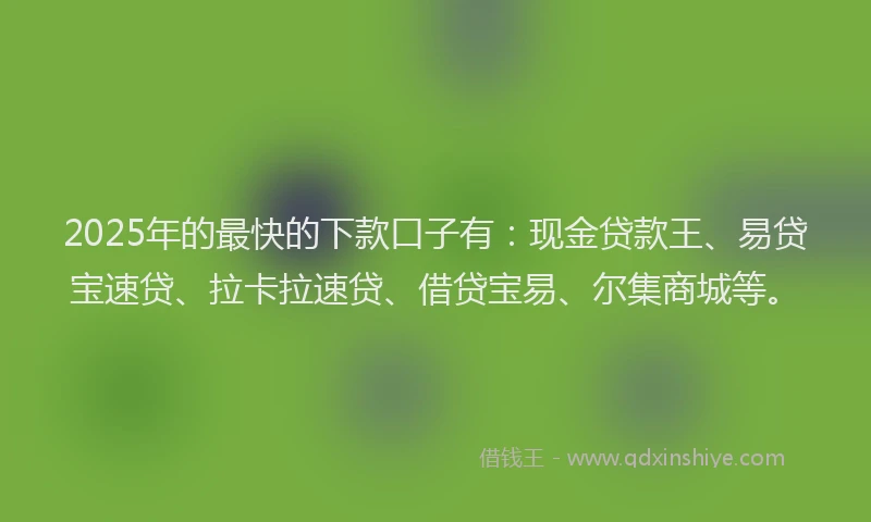 2025年的最快的下款口子有：现金贷款王、易贷宝速贷、拉卡拉速贷、借贷宝易、尔集商城等。