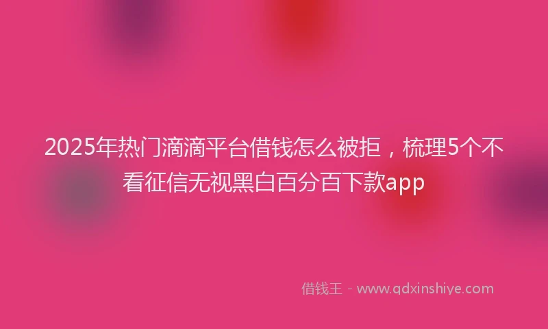2025年热门滴滴平台借钱怎么被拒，梳理5个不看征信无视黑白百分百下款app