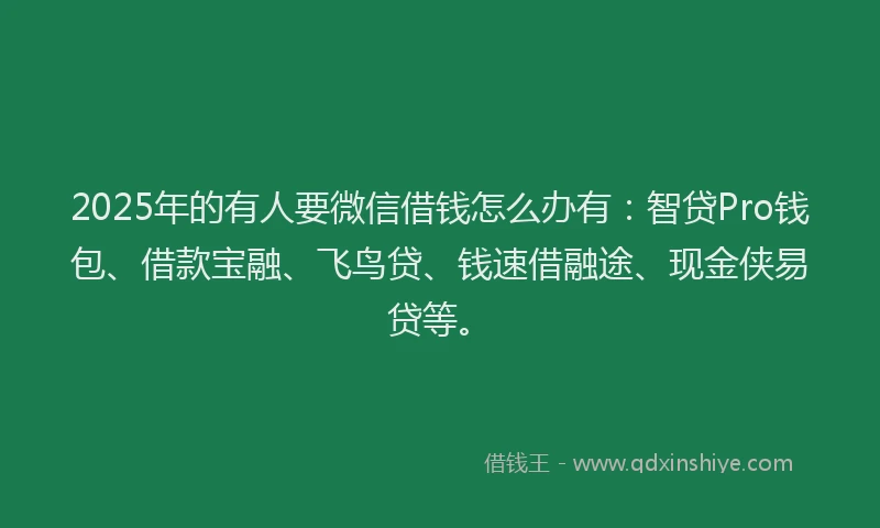 2025年的有人要微信借钱怎么办有：智贷Pro钱包、借款宝融、飞鸟贷、钱速借融途、现金侠易贷等。