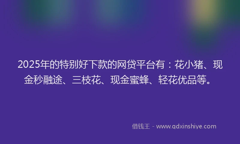 2025年的特别好下款的网贷平台有：花小猪、现金秒融途、三枝花、现金蜜蜂、轻花优品等。