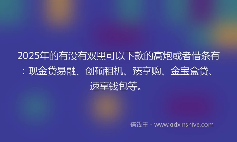 2025年的有没有双黑可以下款的高炮或者借条有：现金贷易融、创硕租机、臻享购、金宝盒贷、速享钱包等。