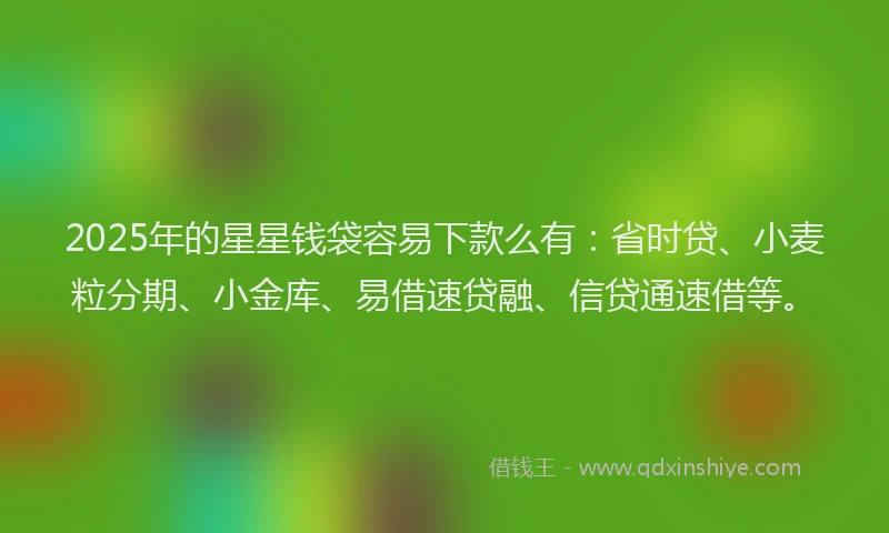 2025年的星星钱袋容易下款么有：省时贷、小麦粒分期、小金库、易借速贷融、信贷通速借等。