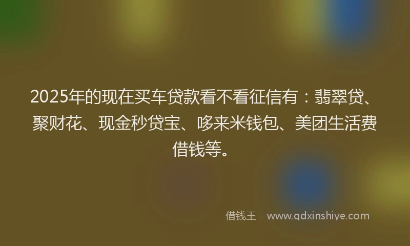 2025年的现在买车贷款看不看征信有：翡翠贷、聚财花、现金秒贷宝、哆来米钱包、美团生活费借钱等。
