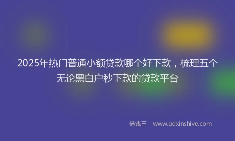 2025年热门普通小额贷款哪个好下款，梳理五个无论黑白户秒下款的贷款平台