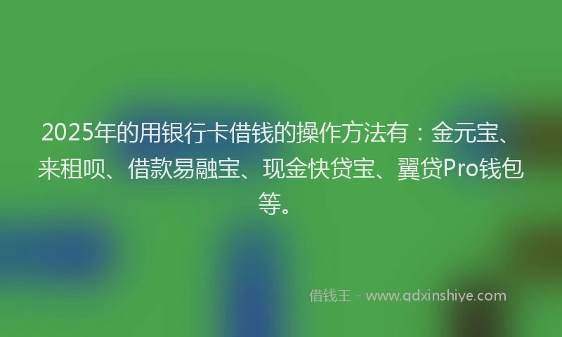 2025年的用银行卡借钱的操作方法有：金元宝、来租呗、借款易融宝、现金快贷宝、翼贷Pro钱包等。