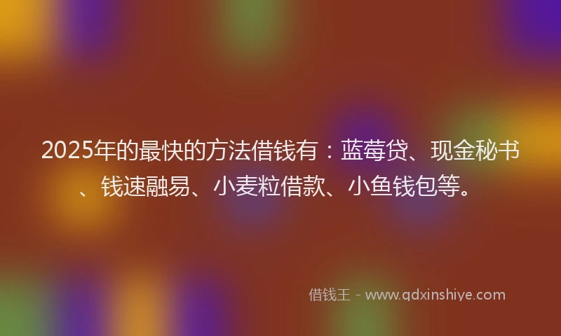 2025年的最快的方法借钱有：蓝莓贷、现金秘书、钱速融易、小麦粒借款、小鱼钱包等。